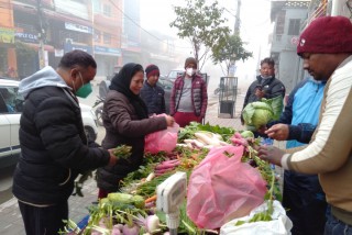 फेसबुकबाट अर्गानिक तरकारी बेच्दै आशा