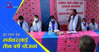 दुधको पकेट क्षेत्र बनाउन मर्चवारलाई तीन बर्षे योजना
