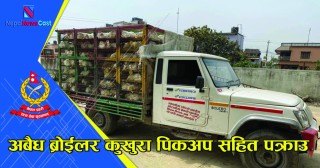 अबैध ब्रोईलर कुखुरा गाडी सहित पक्राउ