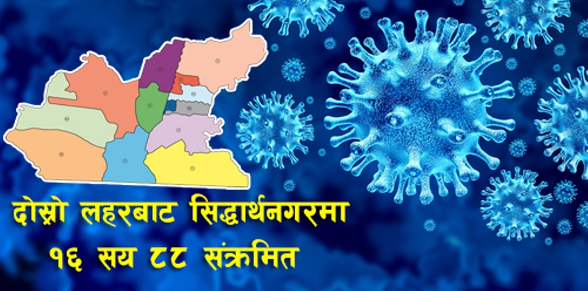 सिद्धार्थनगरमा बैशाख यता १६ सय ८८ संक्रमित,  वडा नम्बर ८ मा सबै भन्दा बढि