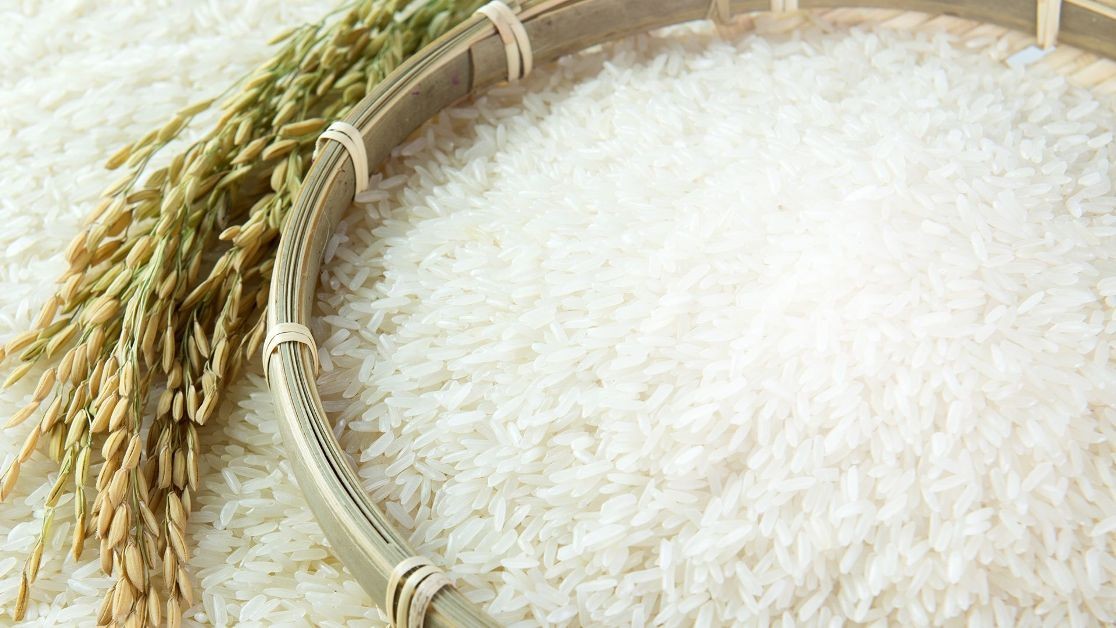 डेढ अर्बभन्दा बढीको धानको बीउ आयात