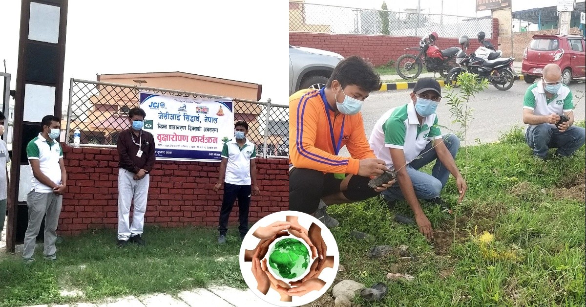 विश्व वातावरण दिवसको अवसरमा वृक्षारोपण