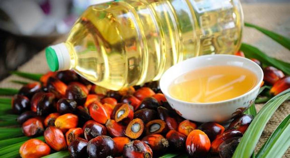 एक वर्षपछि भारतले खोल्यो पाम आयलको आयात