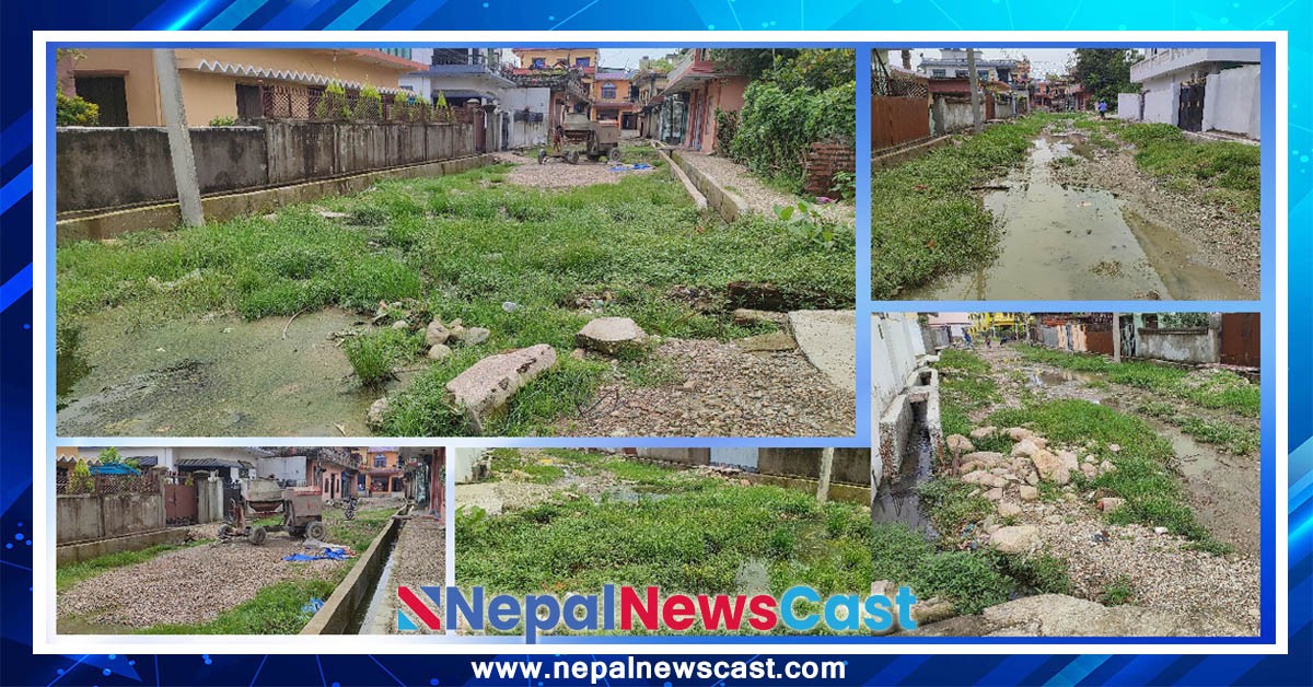 ४ वर्ष बित्दा पनि सम्पन्न हुन सकेन नगरका १९ वटा सडक