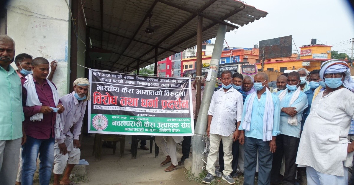 भारतिय केरा आयात रोक्न सिमा र भन्सारमा पुगे कृषक