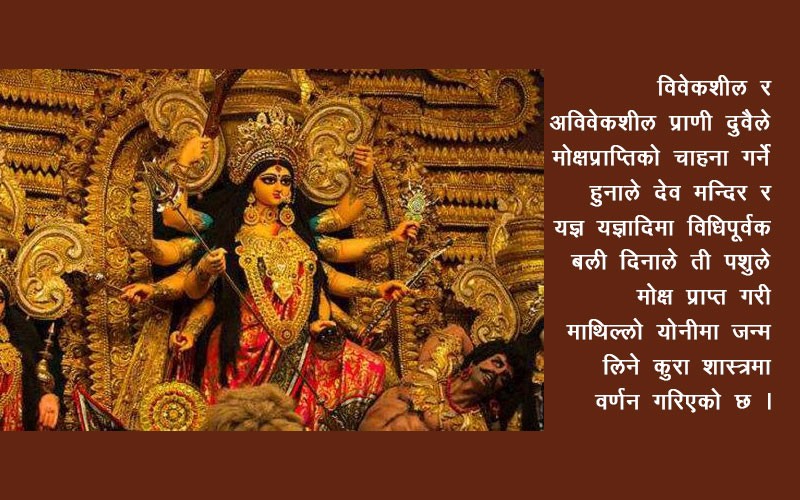 आज महाअष्टमी : दुर्गाभवानीको पूजाआराधना गरी मनाइँदै