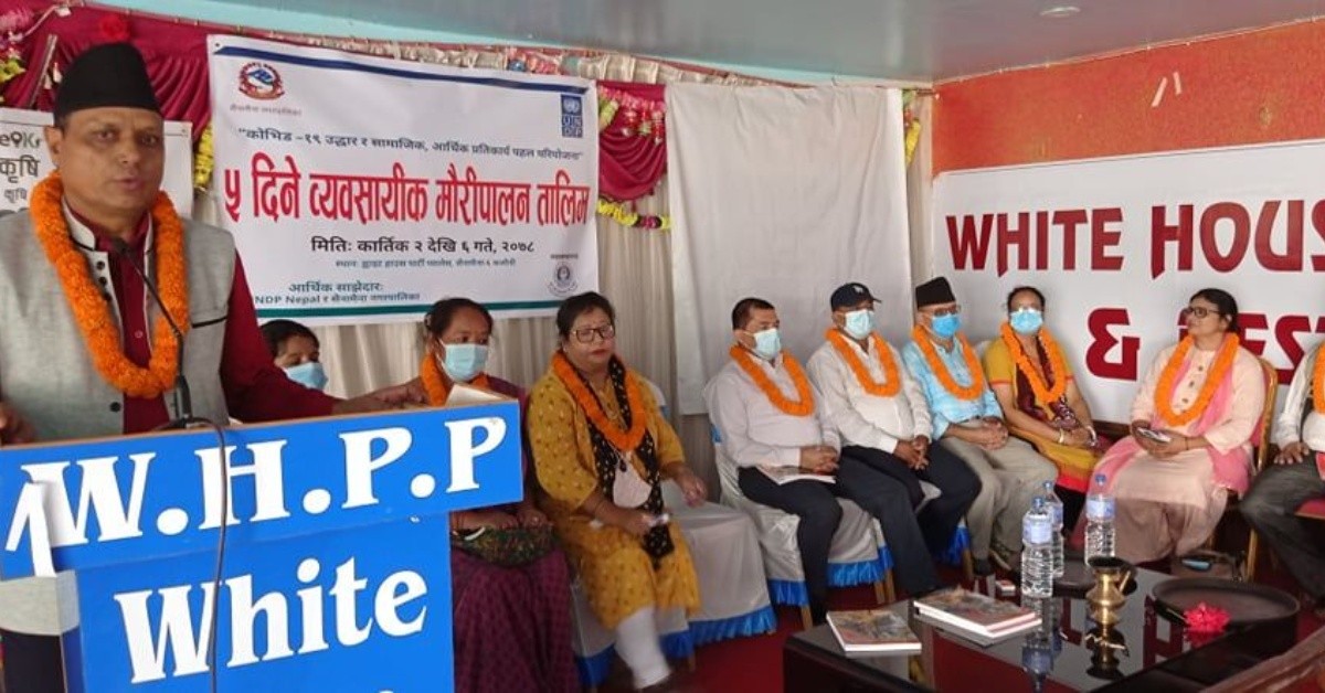 सैनामैनामा धानबाली क्षतिको विवरण संकलन