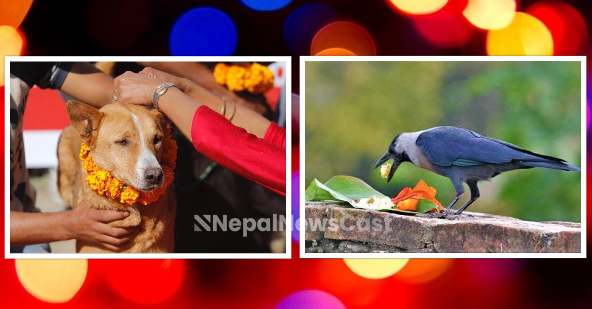 आज काग र कुकुर तिहार मनाइँदै