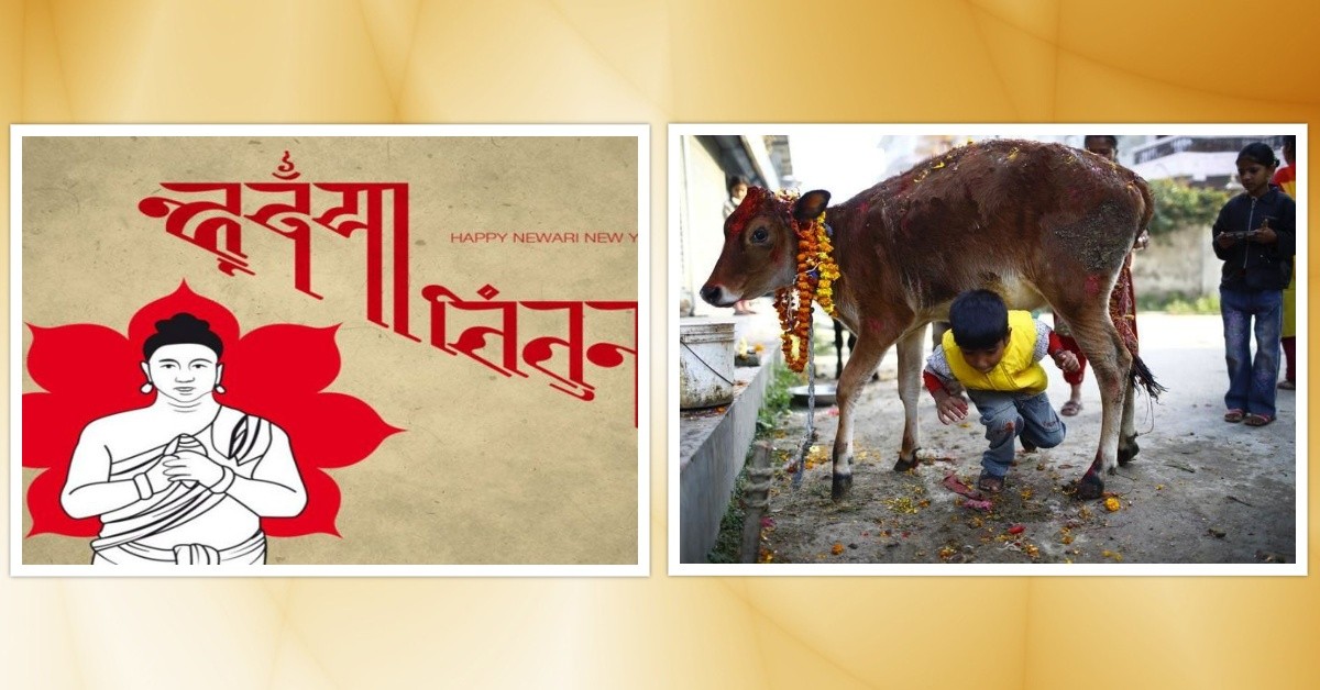 आज गाई, गोरु र गोवर्द्धनको पूजा गरिँदै, नेपाल संवत् ११४२, नेवार समुदायमा म्ह: पूजा मनाइँदै