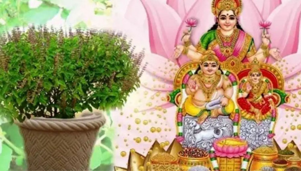 तुलसी दामोदरको विवाह गरी आज हरिबोधिनी एकादशी मनाइँदै