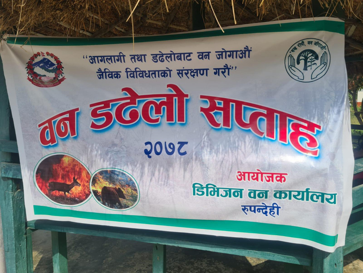 वन डढेलो सप्ताह सुरु