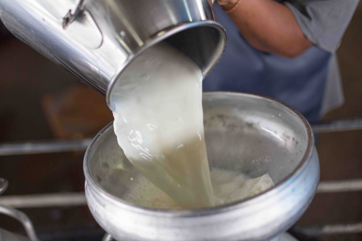 मौज्दात दुग्ध पदार्थ सस्तोमा बेचेर किसानको बक्यौता तिर्ने सरकारको तयारी