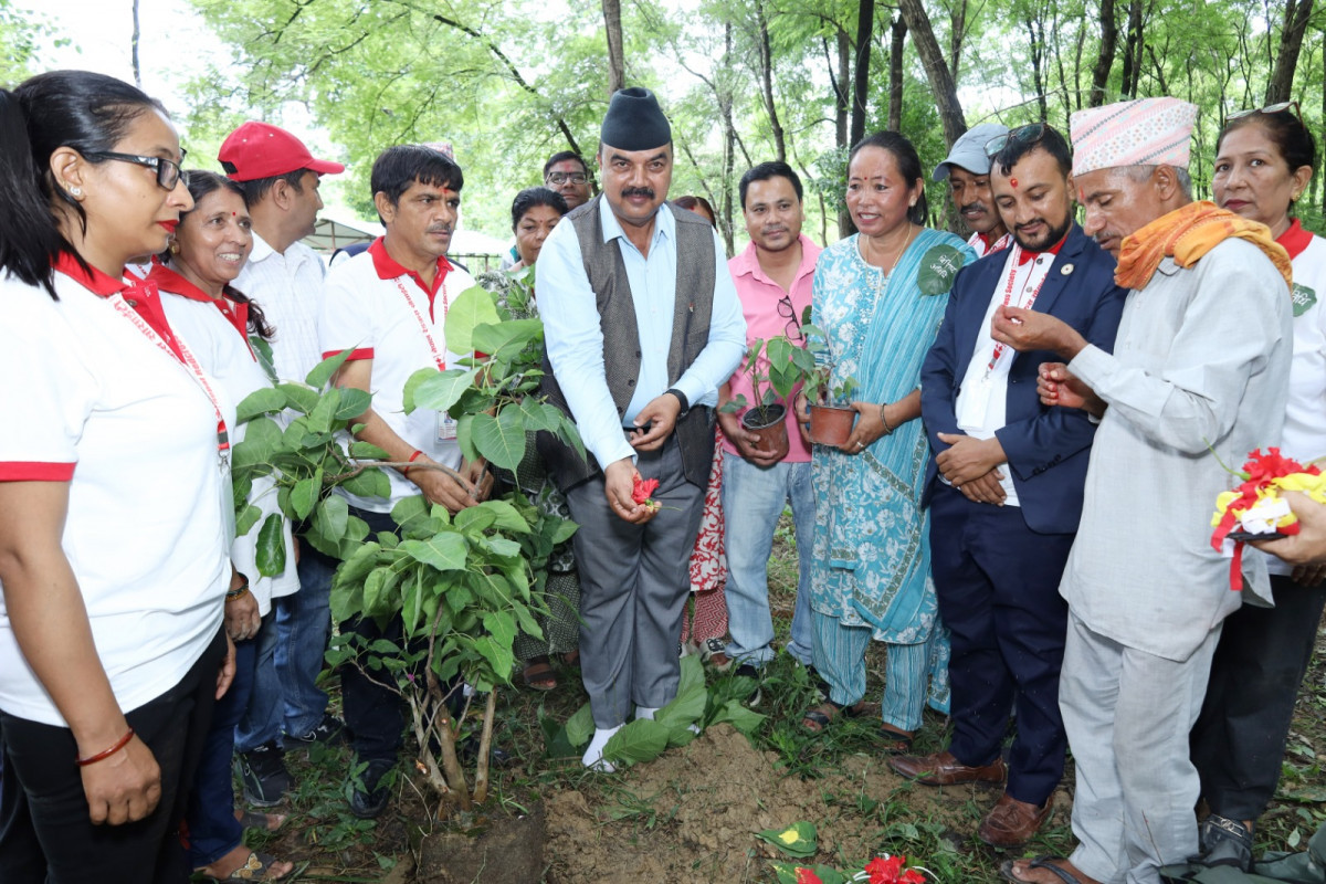 रेडक्रस सैनामैना दुधराक्ष उप–शाखाले लगायो १०८ पिपलका विरुवा